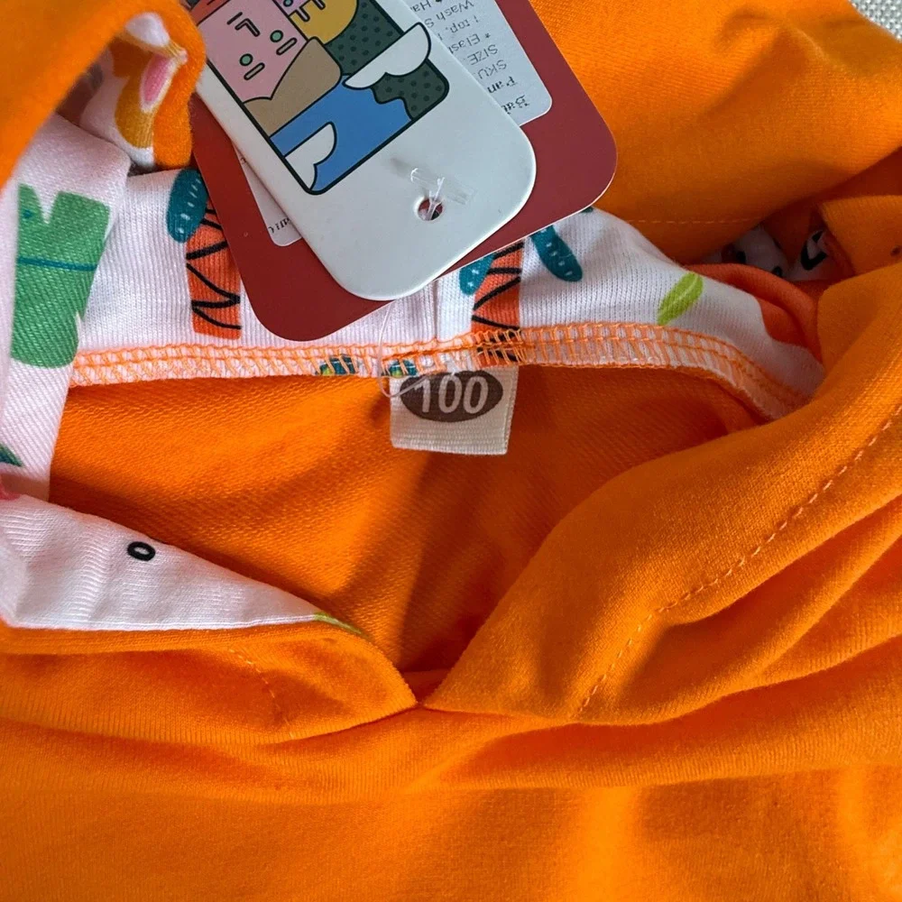 Orange Dinosaur Hoodie‎ and Jogger Pants Set Kids Size 100 New With Tags